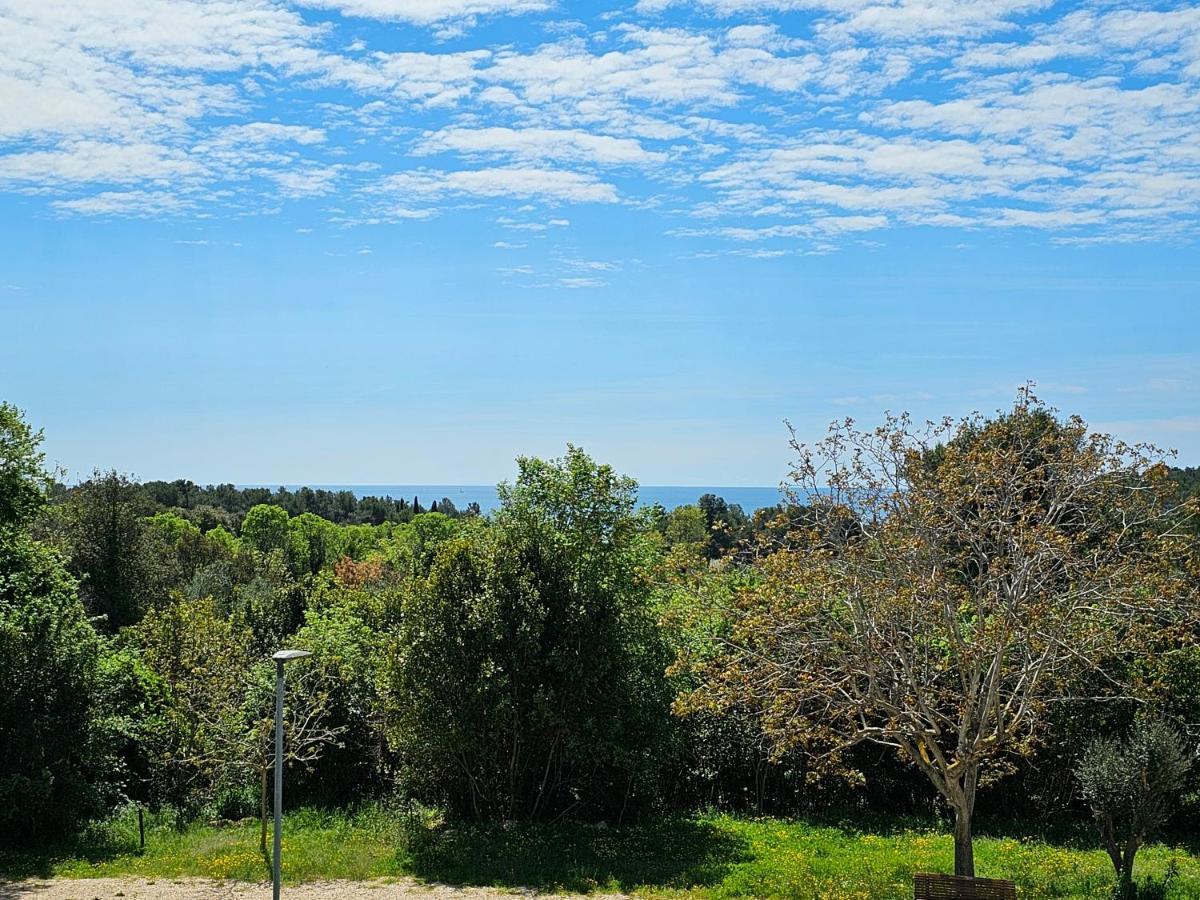 רוביני Apartments & Rooms Gaspar מראה חיצוני תמונה
